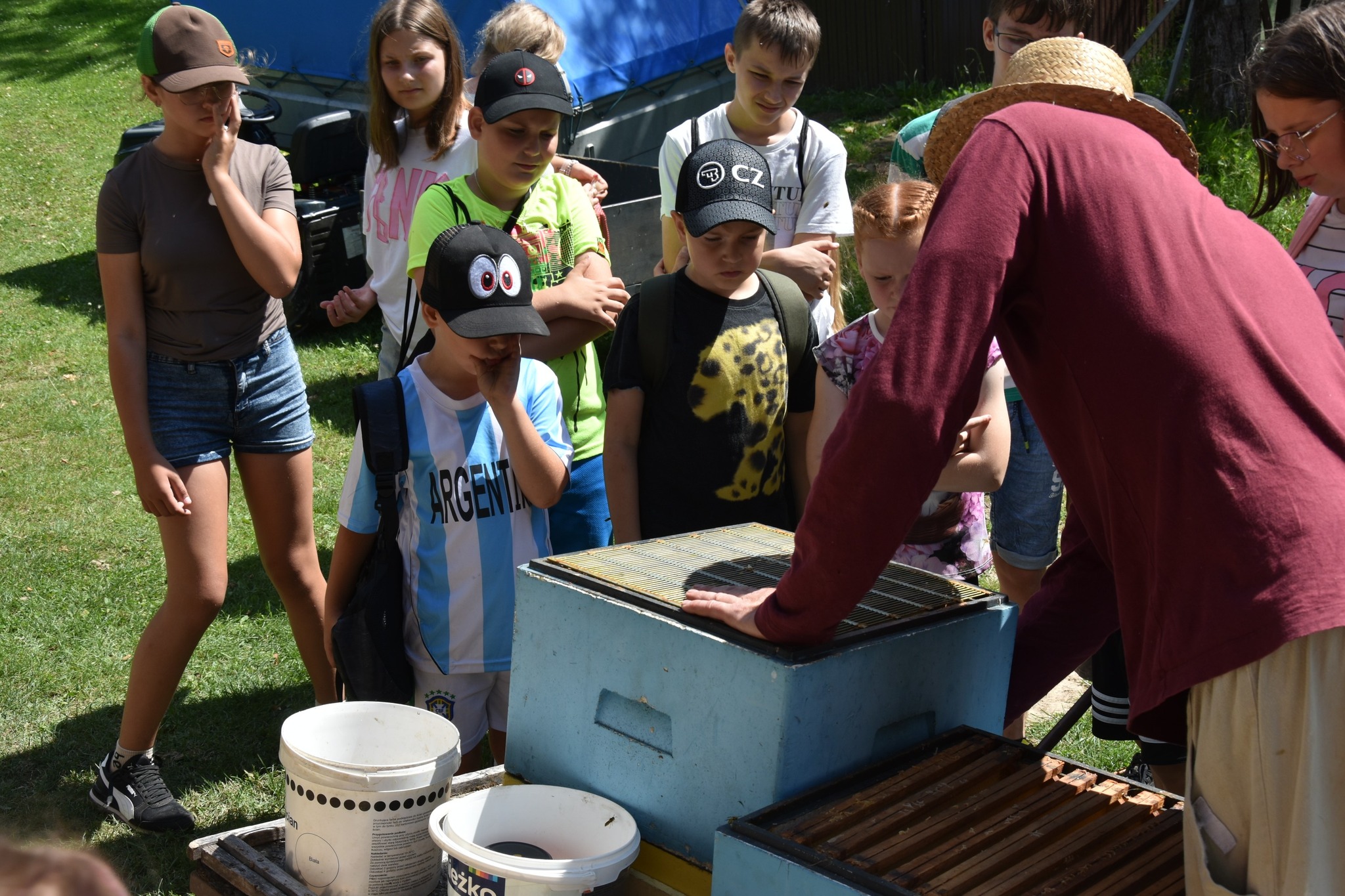 Zielono mi... EkoWakacje z Domem Kultury 2025